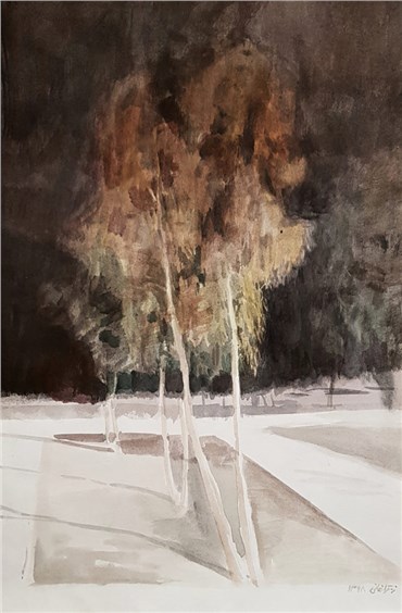 , Zahra QaraKhani, Eucalyptus Trees, 2019, 26716