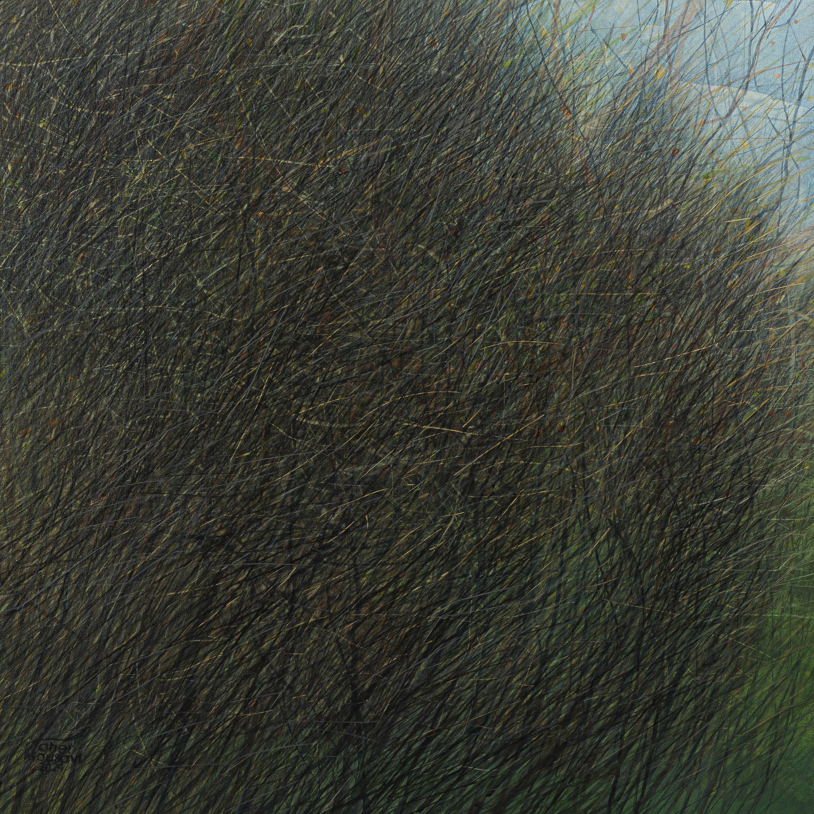 Seyed Taher Moosavi, Nature 10, 2023