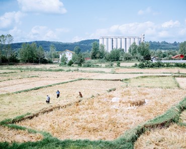 Photography, Khashayar Javanmardi, Untitled, , 58164