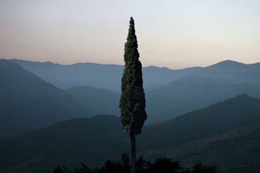 مهدی مقیم نژاد