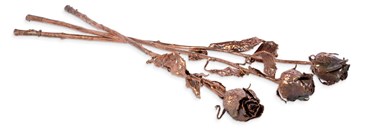 Sculpture, Farnaz Rabieijah, Roses, 2019, 75849