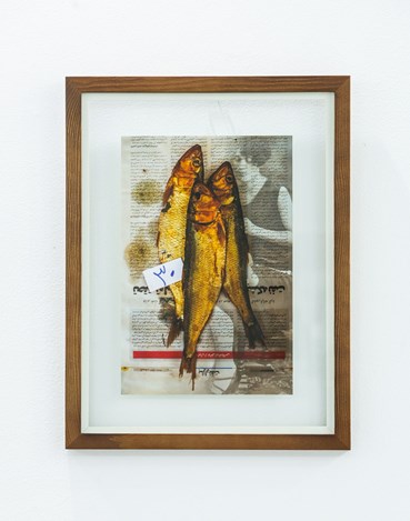 , Nazli Abbasi, Untitled, , 83330