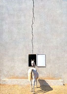 ابوالقاسم خوشرو