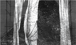 home-scroll-7