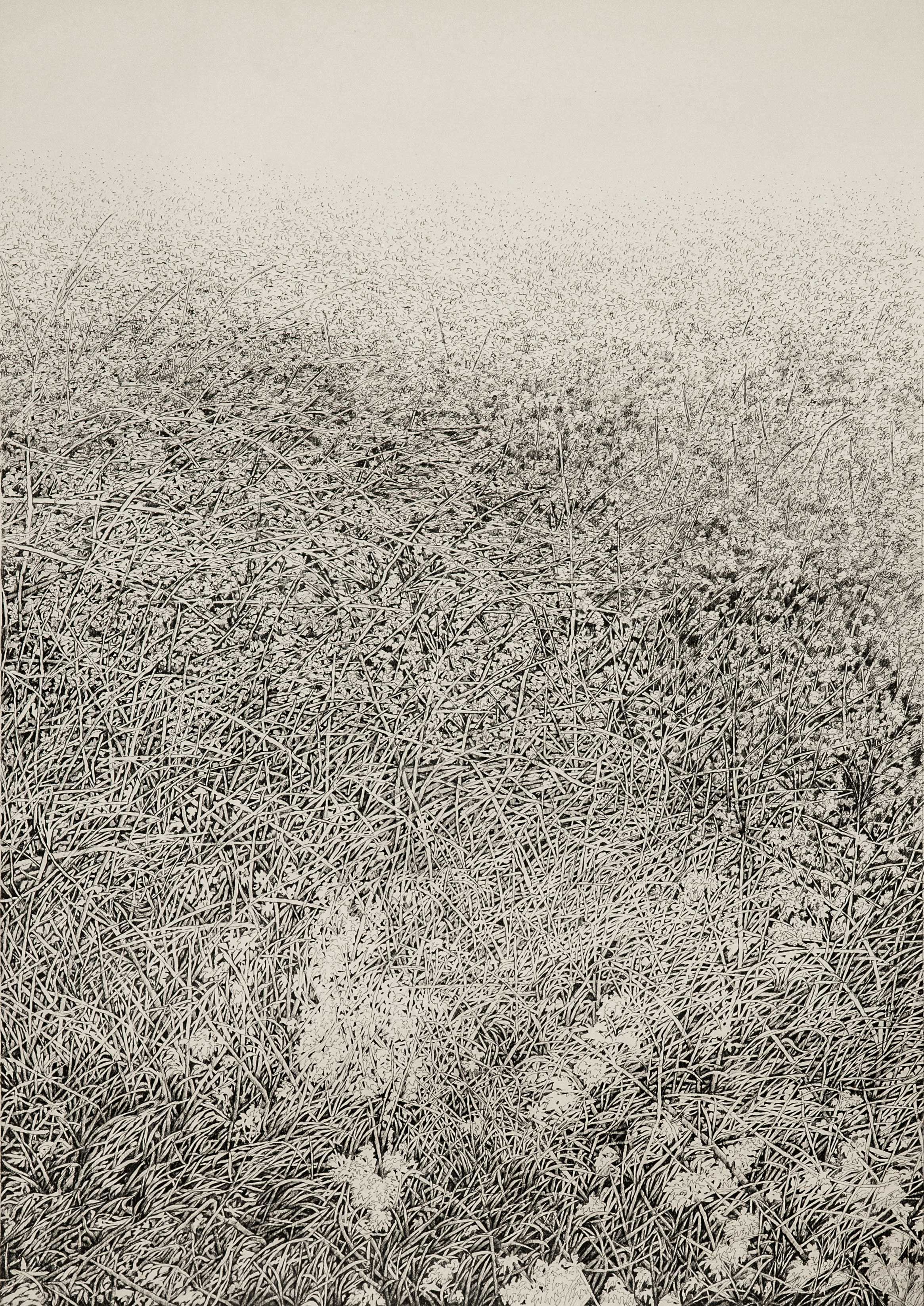Mahsa Arabzadeh, Untitled, 2021