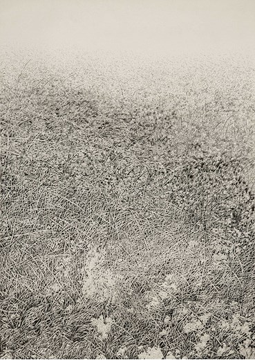 Drawing, Mahsa Arabzadeh, Untitled, 2021, 54321