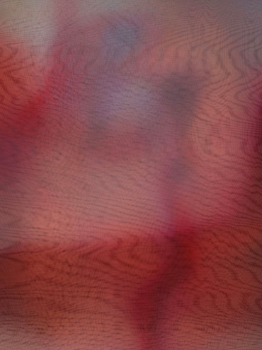 , Rosha Yaghmai, Afterimage, Vein, 2024, 84286