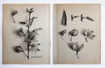 Painting, Morteza Pourhosseini, Yucca, 2025, 79175