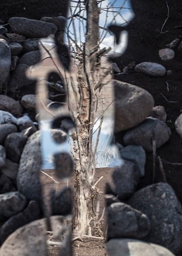 , Bibi Manavi, Memory of Walnut Trees II, 2022, 79309