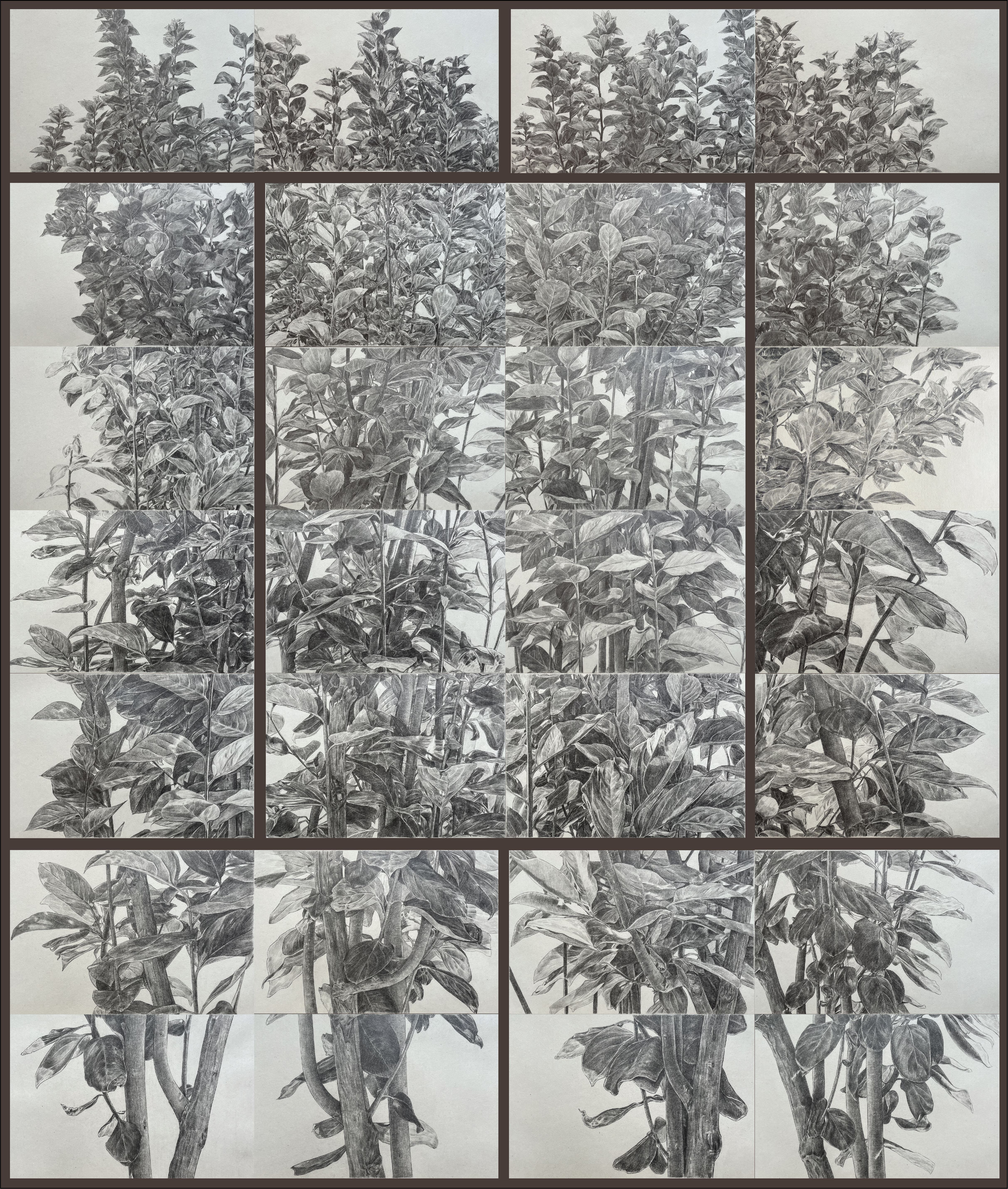 Hamid Pirayesh Moghaddam, Untitled, 0