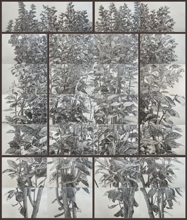 , Hamid Pirayesh Moghaddam, Untitled, , 84032