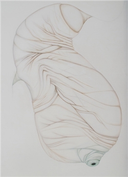 home-scroll-3