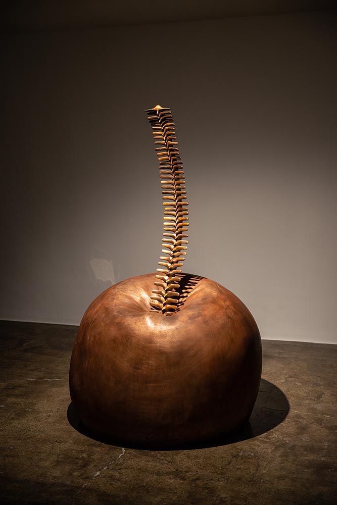 Amir Mobed, #5, 2020