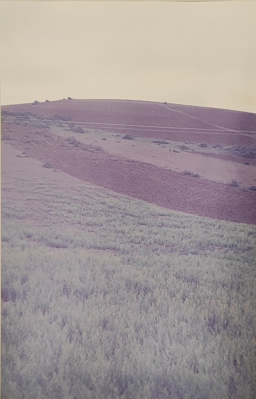 Abbas Kiarostami, Untitled, 1988
