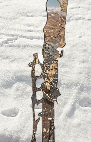 , Bibi Manavi, Memory of Walnut Trees III, 2024, 79308