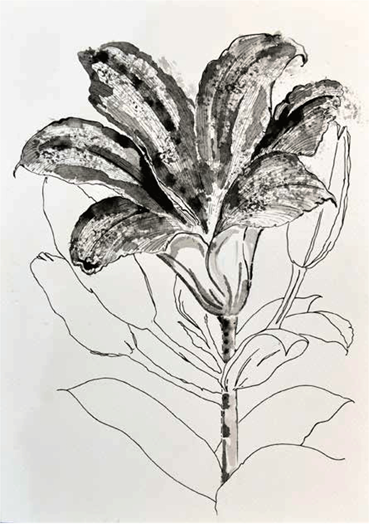 Shirin Karami Mofrad, Untitled, 2024, 0