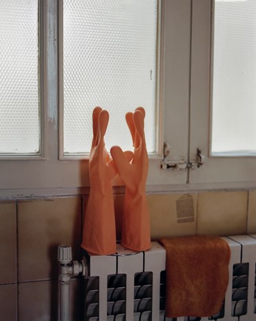 Alireza Fani, Untitled, 2020, 0
