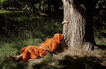 Mostafa Ghaheri, Untitled, 0, 15102