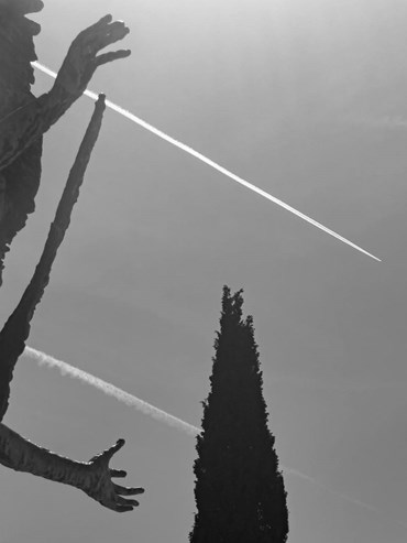 Mohsen Shah Mohammad Mirab, Untitled, 0, 0