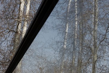 Rasa Hezarkhani, Untitled, 2017, 0