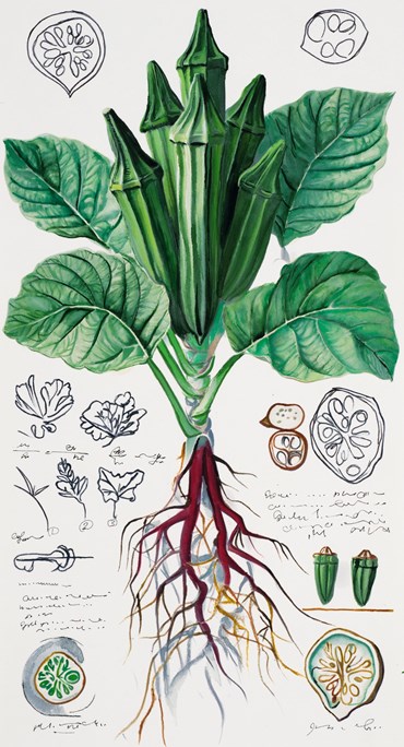 Painting, Elaheh Ramezani, Studying Specimen, Sorted, Serialized: Okra, 2024, 83719