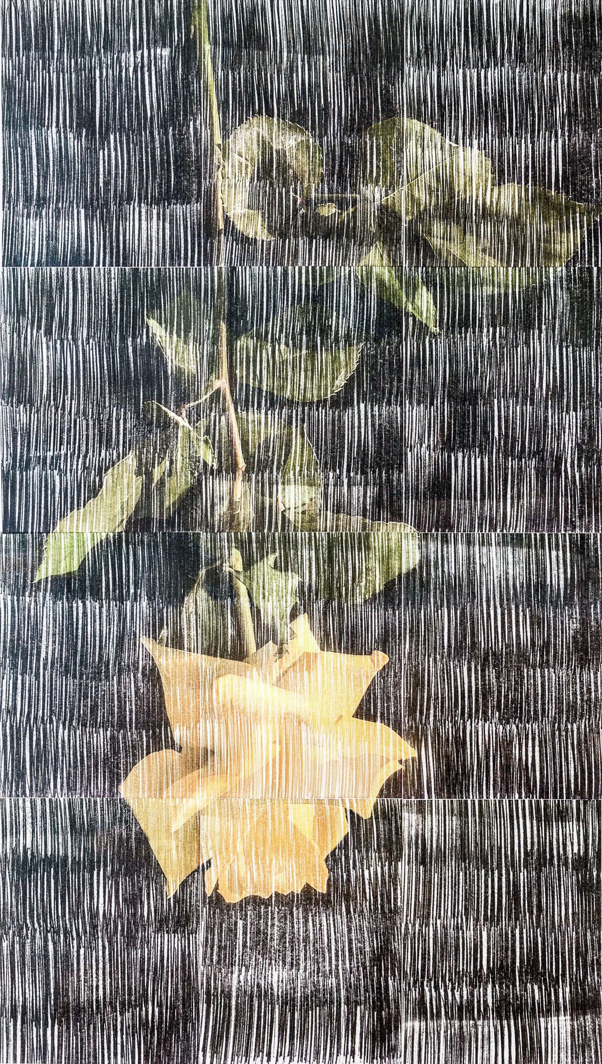 Sasan Abri, Untitled, 2020