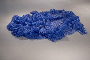 , Sogol Ahadi, Number 22, 2024, 82198