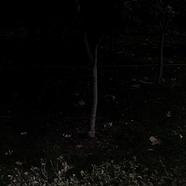 Photography, Kimia Askarian, Untitled, 2023, 76082