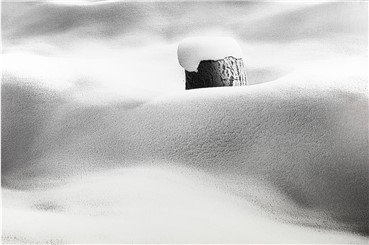 Print and Multiples, Abbas Kiarostami, Untitled, 2012, 8854