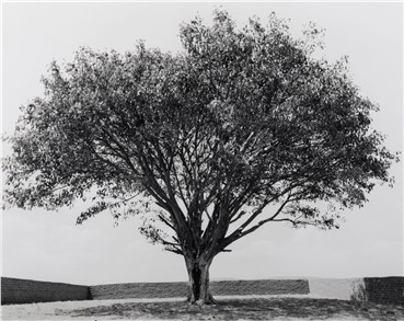 Photography, Shirin Neshat, Untitled, 2002, 22401
