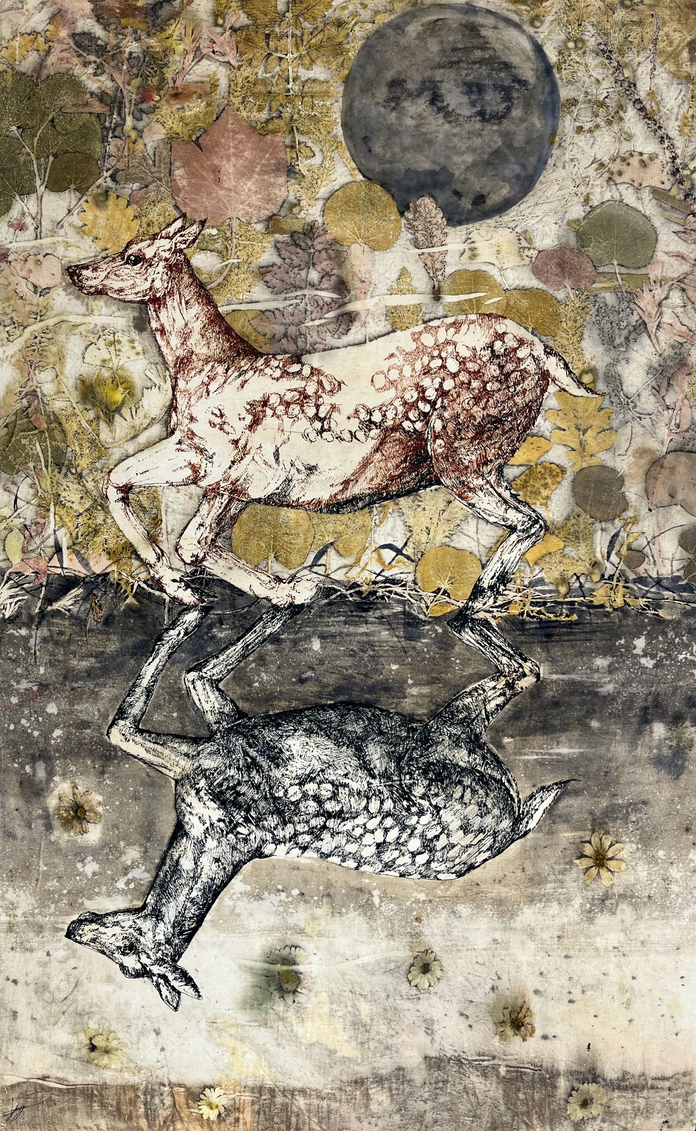 Sheida Gorjidooz, Untitled, 0