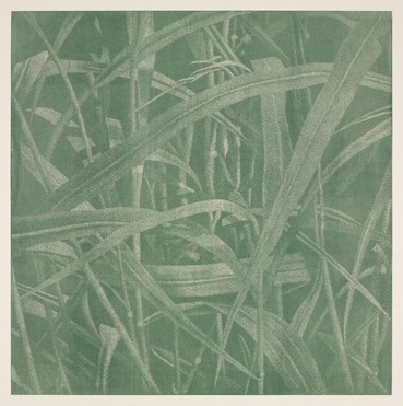 , Franz Gertsch, Gräser II, 2004, 77362