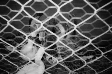 Photography, Kimia Askarian, Untitled, 2021, 76106