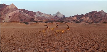 Installation, Alireza Memariani, Landscape Without Deers Number Three, 2017, 20359