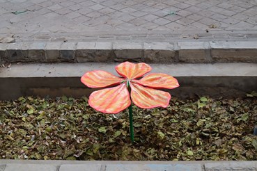 Abtin Yari, Untitled, 0, 0
