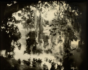 , Sally Mann, Deep South (Avery Moss), 1998, 80401
