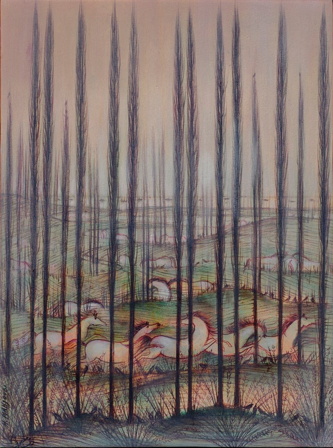 حسین محجوبی