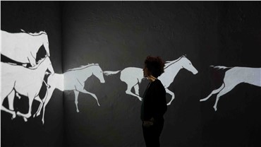 Installation, Avish Khebrezadeh, All the White Horses, 2016, 18615