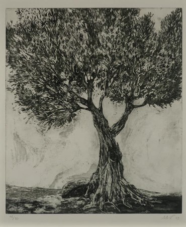 آلاله علامیر