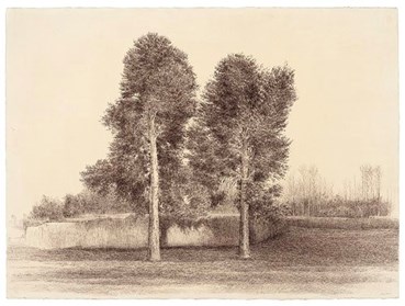 Afsaneh Masaeli, Untitled, 2021, 0