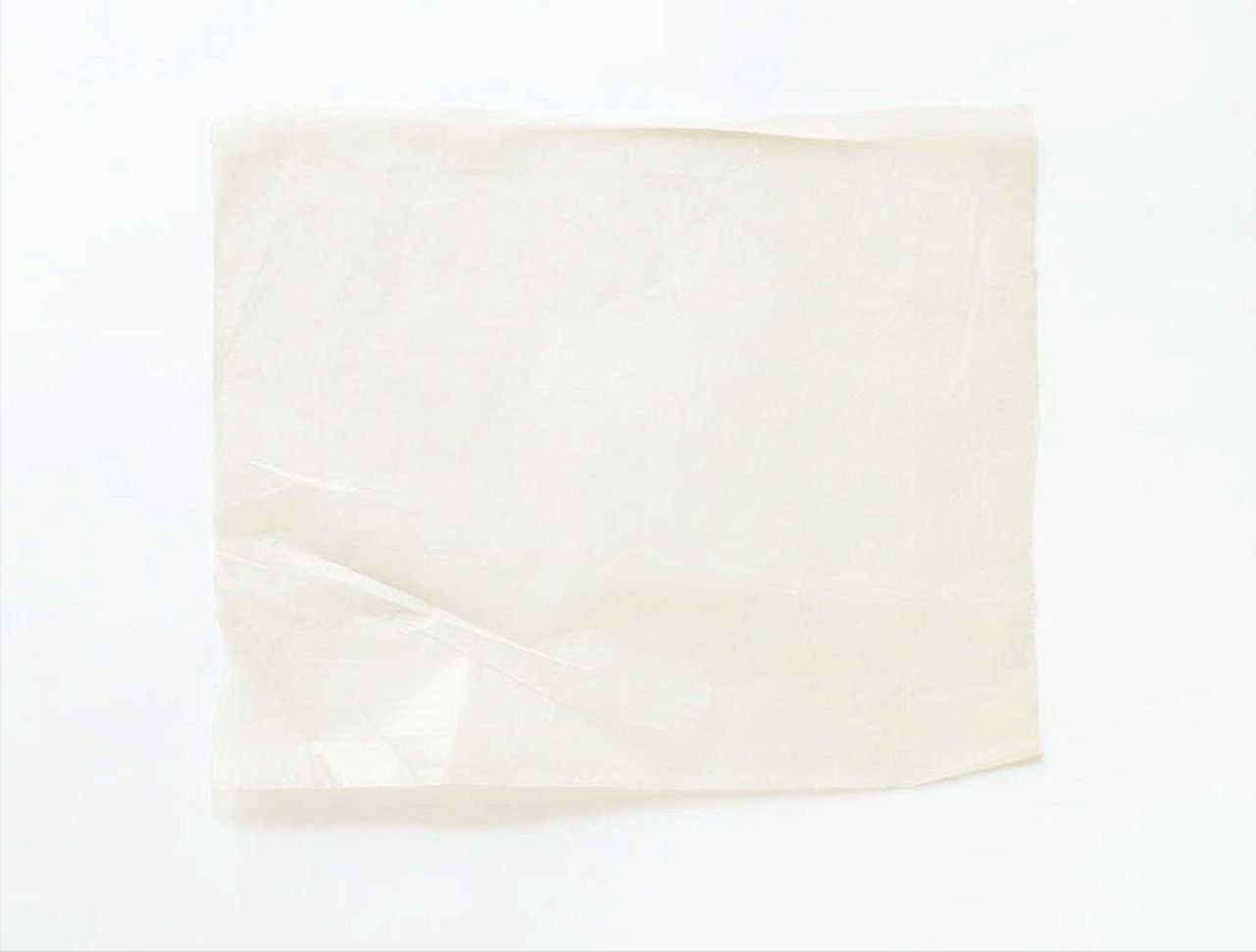 Ghazaleh Hedayat, Untitled, 2015