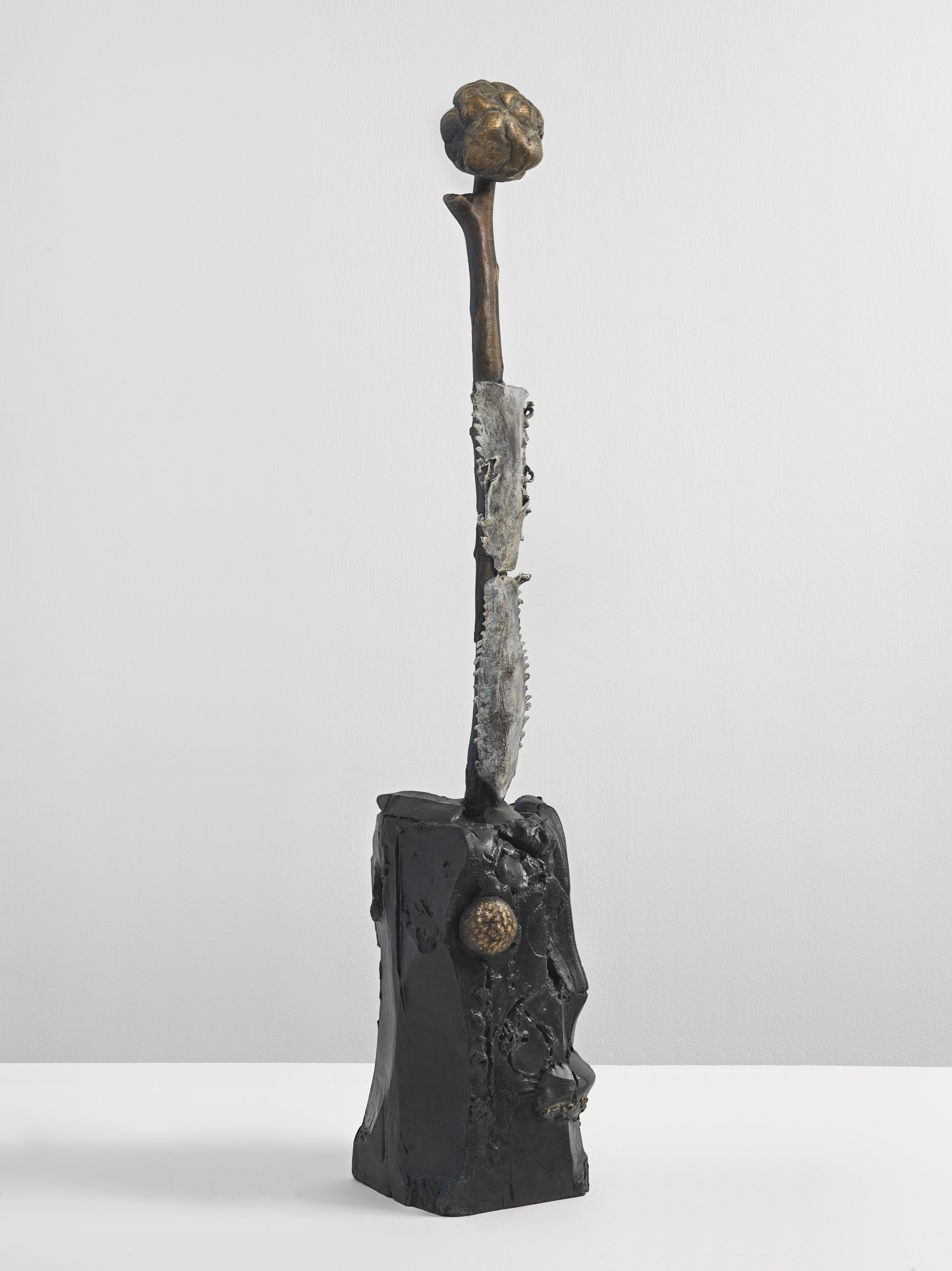 Ali Banisadr, Anima, 2025
