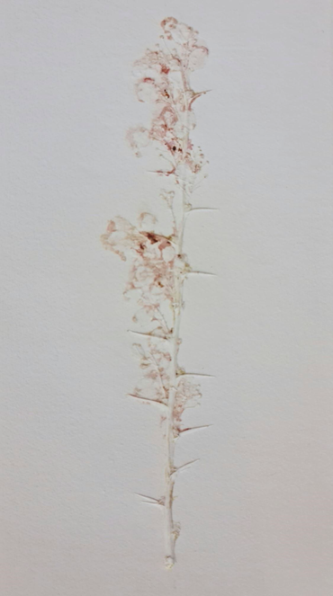 Heecha, Untitled, 0, 0