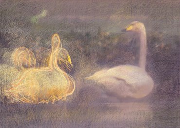 Neda Mirhosseini, Untitled, 2024, 0