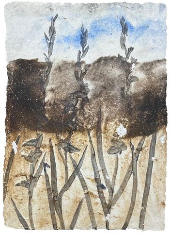 , Reyhaneh Afzalian, Untitled, 2026, 84089