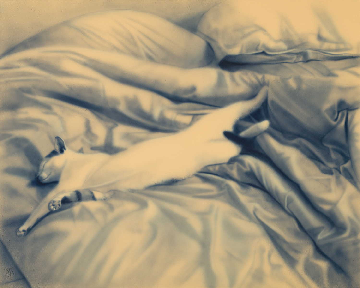 Hosein Shirahmadi, A Cat, 2026