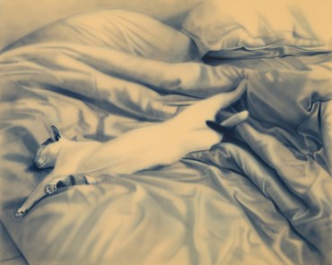 , Hosein Shirahmadi, A Cat, 2026, 83937