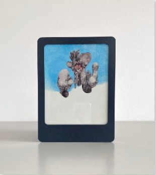 Azadeh Madani, Untitled, 2018