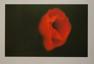 , Shahin Esfandiari, Untitled, 2024, 82265