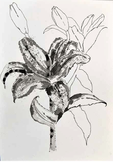 Shirin Karami Mofrad, Untitled, 2024, 0